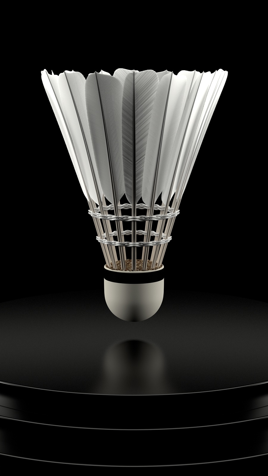 赛节奏的掌 赛节奏的掌