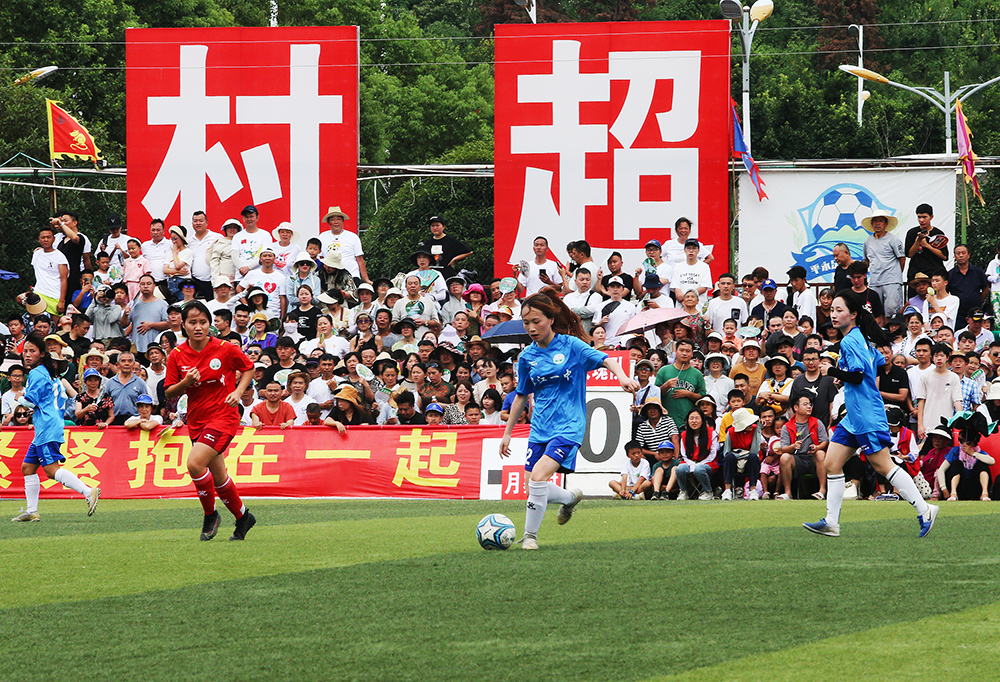 植於本地文 植於本地文