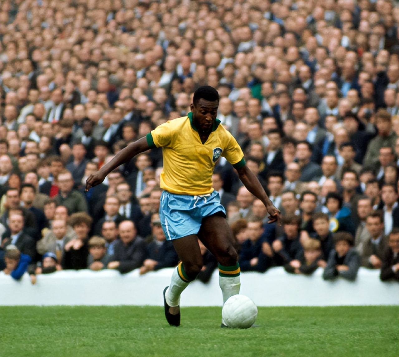 镜头回看 镜头回看